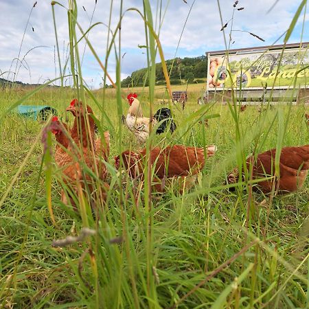 Bevern  Koetterhofヴィラ エクステリア 写真